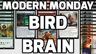 Modern Monday Bird Brain Match 4 [upl. by Janeva]