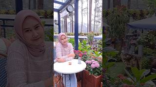 Golden Pine Resto Orchid Forest Lembang Bandung cafe cafecantik cafeaesthetic [upl. by Ylloh]