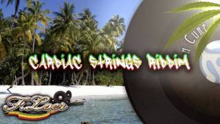 Cardiac Strings Riddim  Reggae  2011  Mix By Floer [upl. by Leunam482]