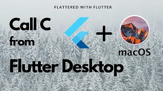 Flutter Desktop and C  Call C library from MacOS  Flutter on MacOS  FFI aseemwangoo flutter [upl. by Eneri262]