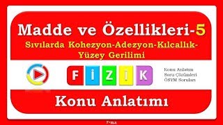 Madde ve Özellikleri5 KohezyonAdezyonKılcallıkYüzey Gerilimi  PDF [upl. by Neelyhtak]