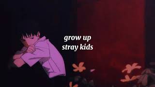 grow up  stray kids  slowed OT8 ver [upl. by Ruenhs]