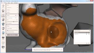 Autodesk Meshmixer 101 Selection [upl. by Yelsha]