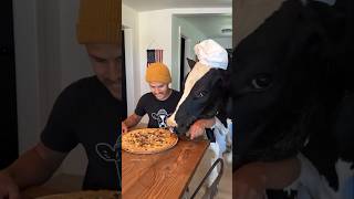 Doesnt let me eat anything 😱 shortsfeed viralshort viralvideo [upl. by Nassah]