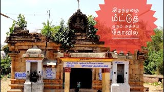 இழந்ததை மீட்டுத் தரும் அதிசய கோயில்Shri BrahmaGnanapureeswarar Temple Star TempleAvittam அவிட்டம் [upl. by Gavrielle719]