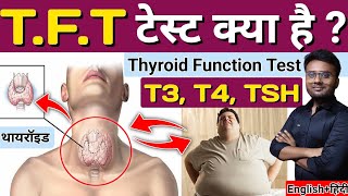 Thyroid  TFT test  TFT test in Hindi  Thyroid Function Test  Thyroid Gland  TSH  T3  T4 [upl. by Mckee143]