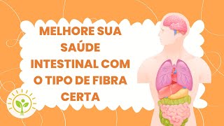 TIPOS DE FIBRAS PARA MODULAÇÃO INTESTINAL [upl. by Sinegra]