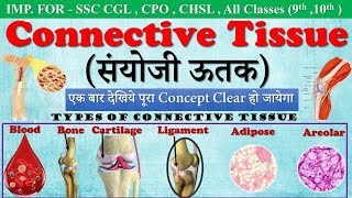 Connective tissue in hindi संयोजी ऊतक  Types of Connective Tissue  ssc campusmp4 [upl. by Ycniuq172]