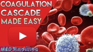 Coagulation Cascade SIMPLEST EXPLANATION  The Extrinsic and Intrinsic Pathway of HEMOSTASIS [upl. by Hube]