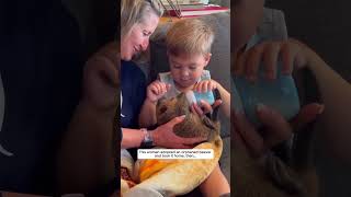 This woman adopted an orphaned beaver and took it home beaver babybeaver short [upl. by Blayze]