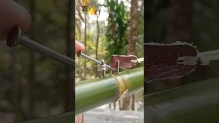 DIY  New Toy Slingshots from Bamboo bamboo bamboocrafts bambooshoot [upl. by Seligmann]