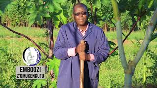 CASTOR SEEDS CULTIVATION AND COMMERCIAL STATUS WITH OMUKENKUFU NYANZI JULIUS Part 2 [upl. by Enenej]