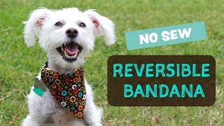 DIY Reversible Dog Bandana  No Sew  Bandana de Perro [upl. by Lav877]