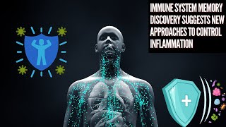 Immune system memory discovery suggests new approaches to control inflammation [upl. by Amikan]