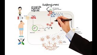 Pharmacology  DRUGS FOR DIABETES MADE EASY [upl. by Celeski]