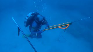 Spearfishing Ledges in 100 First Dive of the Year 2024 [upl. by Nikolaos]