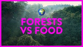 Forests Vs Food Adam  DPhil Geography amp Environment [upl. by Shanta]