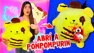 ABRÍ un PELUCHE de POMPOMPURIN y me mostró ALGO TURBIO💀 EL peluche MÁS GRANDE⚠️  Ani Cat😻 [upl. by Warner]