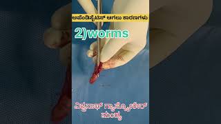 Causes of appendicitis in kannada [upl. by Sulecram]