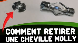 TUTO Comment retirer une cheville Molly PROPREMENT ET FACILEMENT [upl. by Laverna152]