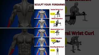 Sculpt Your Forearms Matrix [upl. by Ades]