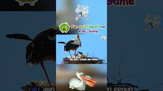 The Stork Song  Fun Animal Songs for Kids  EduFam Nursery Rhymes [upl. by Mohandis]