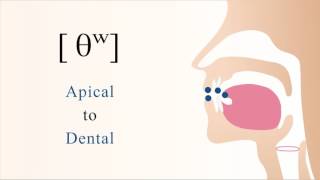 θʷ  unvoiced labialized apical dental non sibilant fricative [upl. by Onaicram719]