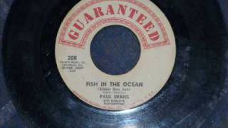 Paul Evans  Fish In The Ocean [upl. by Elva232]