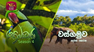 Sobadhara  Sri Lanka Wildlife Documentary  20201016  Wasgamuwa National Park වස්ගමුව [upl. by Edson]