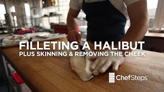 Filleting a Halibut plus skinning and removing cheek [upl. by Lucia]