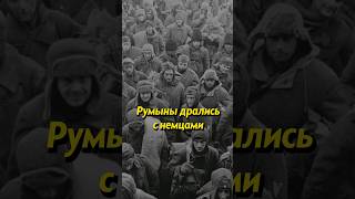 Как пленные румынские солдаты относились к немцам история историяроссии ссср румыния россия [upl. by Adriana]