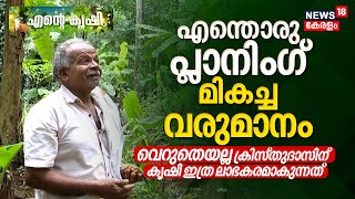 Ente Krishi  എന്തൊരു Planning മികച്ച വരുമാനം വെറുതെയല്ല Christudasന് കൃഷി ലാഭകരമാകുന്നത്  Farming [upl. by Eenhat27]