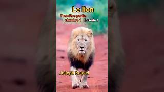 Le lion  Épisode 1  Joseph Kessel [upl. by Wendin659]