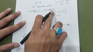 EICOSANOIDS SYNTHESIS AND FUNCTION WITH EASY MNEMONICSbiochemistry carbohydrate nmdc dr mbbs [upl. by Alleras]