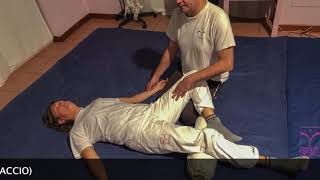 Seminario Shiatsu Le Estensioni di Masunaga [upl. by Llehcram770]