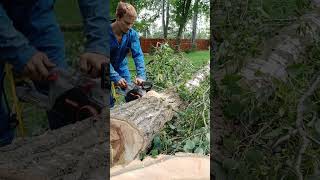 HOW TO CUT LOGS EASY [upl. by Aicinad171]