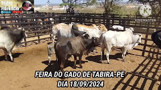 Feira de Gado de TabiraPE  Preços no Curral dia 180924 [upl. by Alvin]