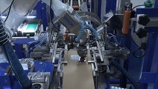 Epson C4 6Axis Robot used on Ink Cartridge Packaging Line [upl. by Radman]