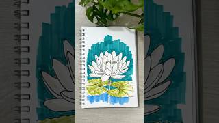 Water Lily Drawing rialartist drawing [upl. by Ogdan]