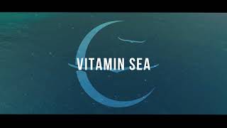 Owl City  Vitamin Sea Official Lyric Video music Officialvideo [upl. by Natsirk748]