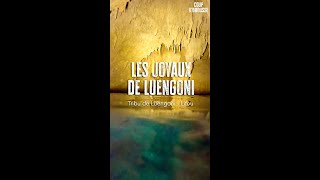 🌊✨ Les Joyaux de Luengöni à Lifou  plongez dans un monde caché ✨🌊 [upl. by Dorrie]