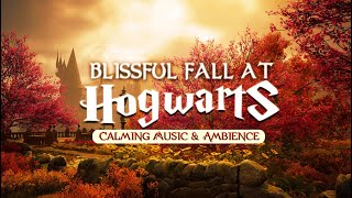 Autumn at Hogwarts  Calming Harry Potter Music amp Cozy Fall Ambience relax study [upl. by Barbra]