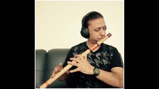 Raina beeti jaaye  Flute [upl. by Corey]