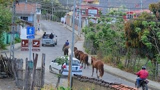 VilcabambaValle de LongevosHistoriaEcuadorProducciones VicariJuan Franco Lazzarini [upl. by Christiansen]