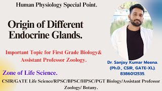 Origin of Different Endocrine lands PGT BIOLOGY CSIRGATERPSCMPPSCHPSCBPSC  ZOOLOGYNEET [upl. by Creamer467]