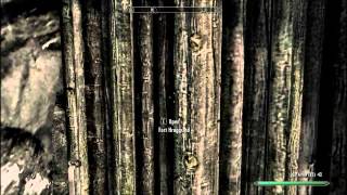 Skyrim Imperial Gameplay 1 Joining the Legion HD [upl. by Nya]