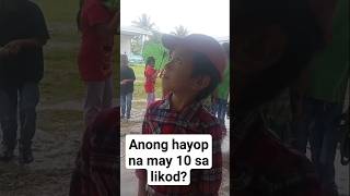 Anong hayop ang may 10 sa likod viral video youtube youtubeshorts [upl. by Eisset]