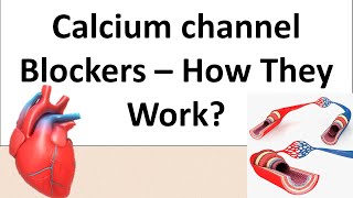 Norvasc Amlodipine  A Calcium channel blockers  Pharmacology amp Mechanism of action [upl. by Treblih204]