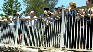 Epiphany 2016   St Savvas of Kalymnos Orthodox Church amp Community Sydney Australia [upl. by Ellac162]