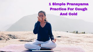 Surya Anuloma Viloma Pranayama for Cough and Cold Relief  Steps  Benefits  Precautions [upl. by Erl983]